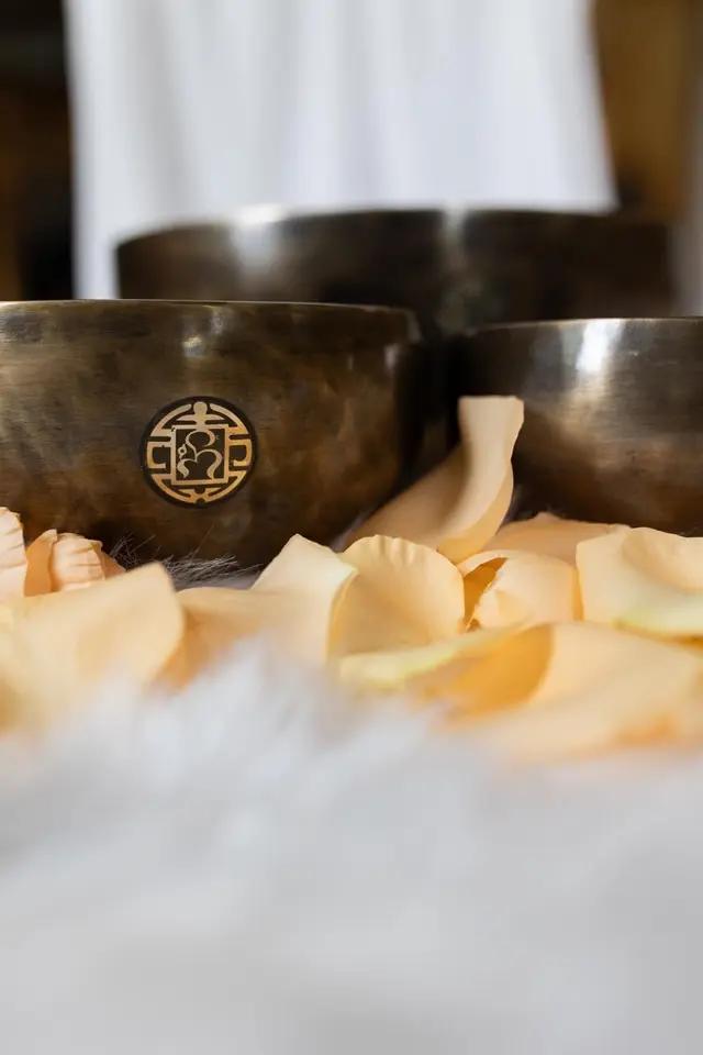 42edce50 Af02 41ee Bd46 86482807f0b0